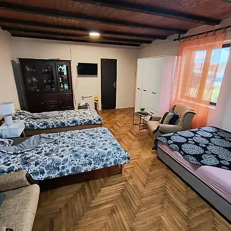 Apartment Lana I Tara Donji Milanovac